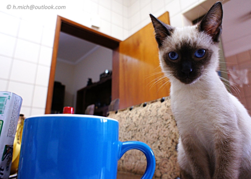 Studio-One.Art.br Repo Fotografia em Rio Preto SP/Brasil