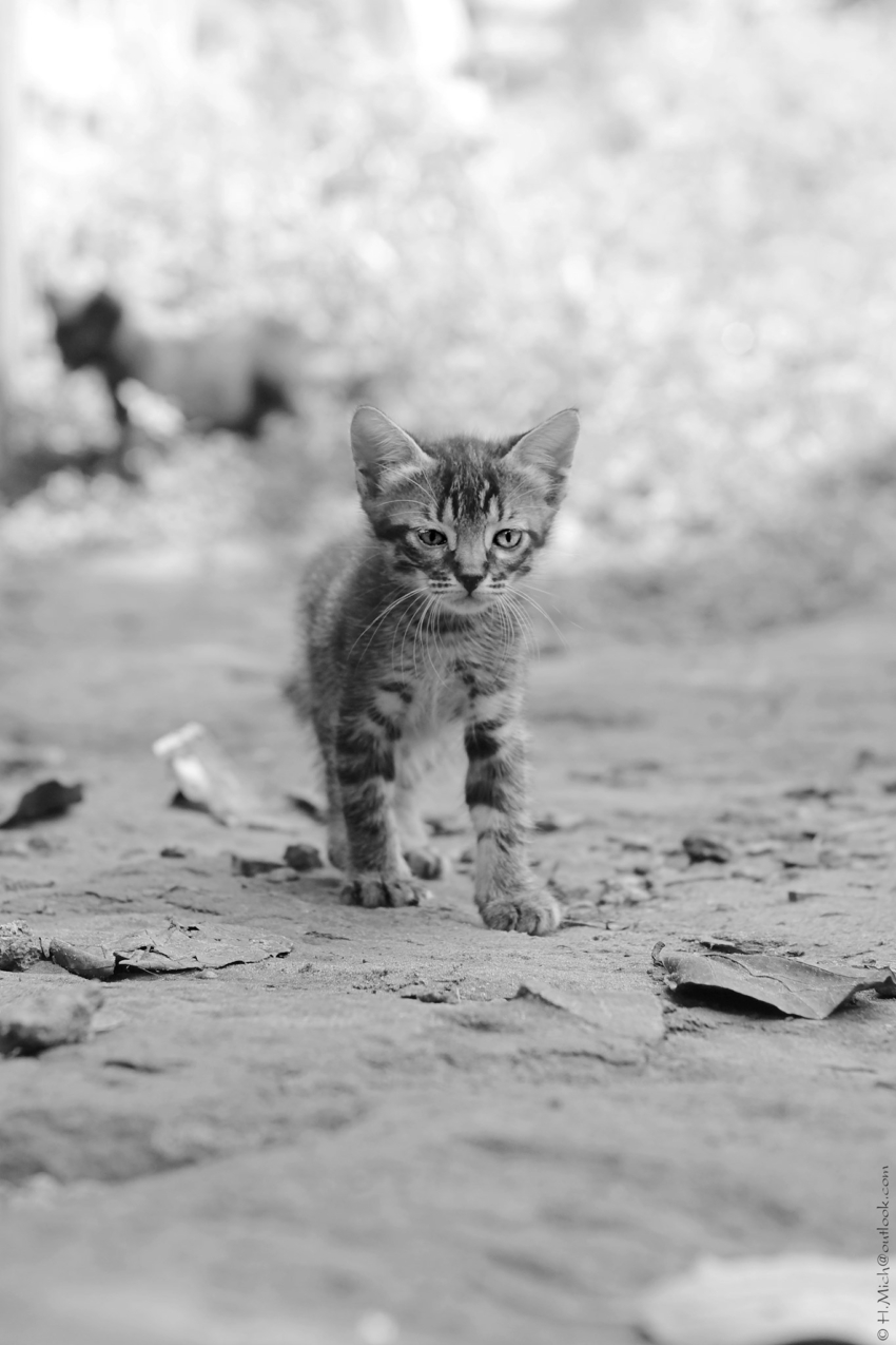 Studio-One.Art.br Repo Fotografia em Rio Preto SP/Brasil