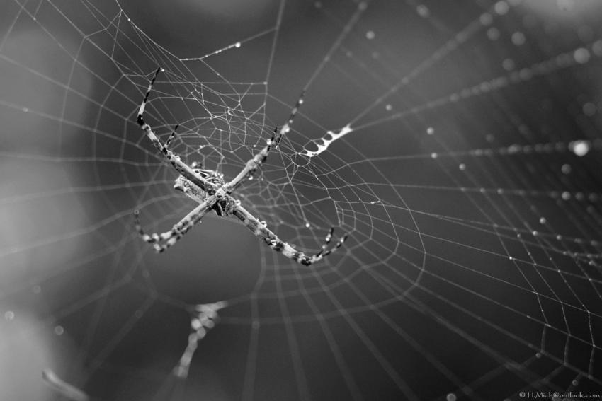 Studio-One.Art.br Repo Fotografia em Rio Preto SP/Brasil