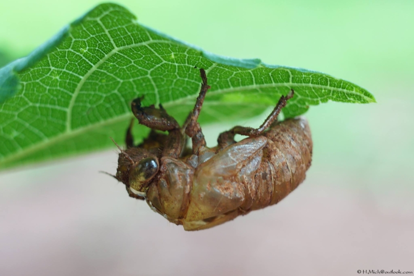 Studio-One.Art.br Repo Fotografia em Rio Preto SP/Brasil