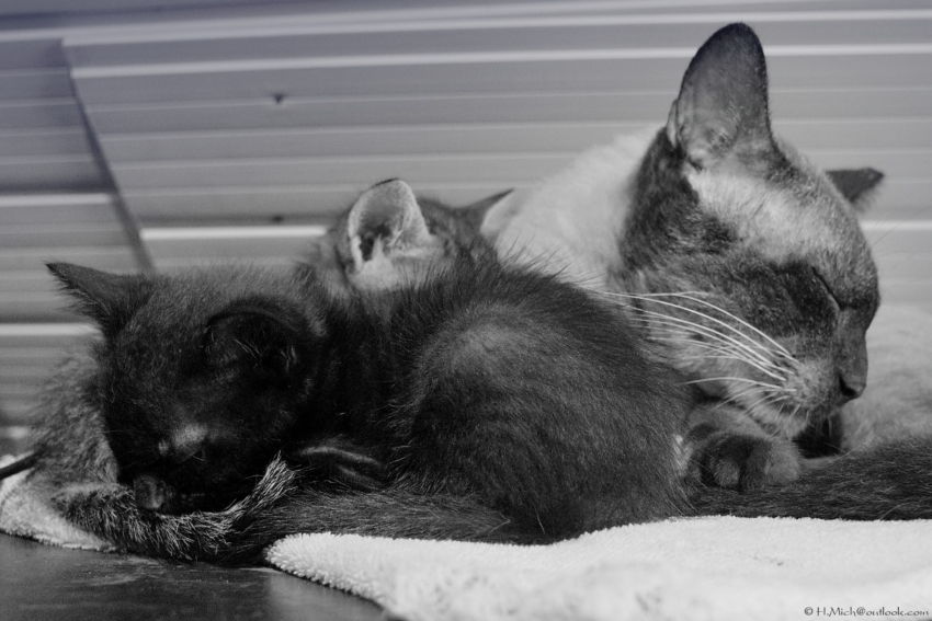 Studio-One.Art.br Repo Fotografia em Rio Preto SP/Brasil