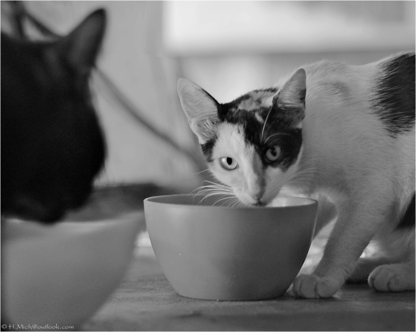 Studio-One.Art.br Repo Fotografia em Rio Preto SP/Brasil