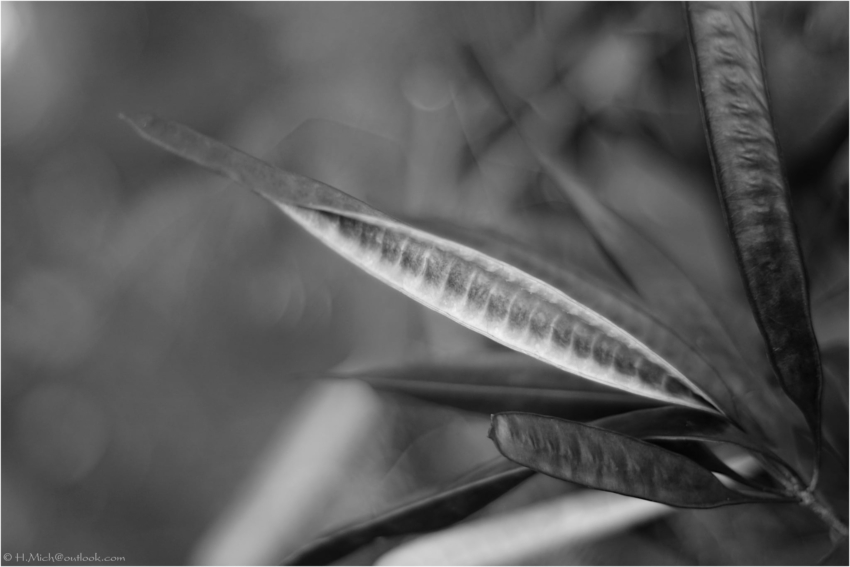 Studio-One.Art.br Repo Fotografia em Rio Preto SP/Brasil