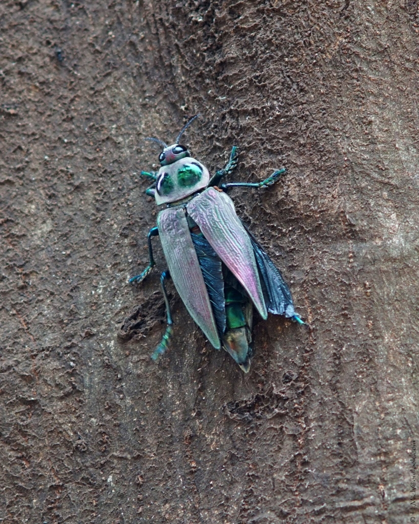 Studio-One.Art.br Repo Fotografia em Rio Preto SP/Brasil