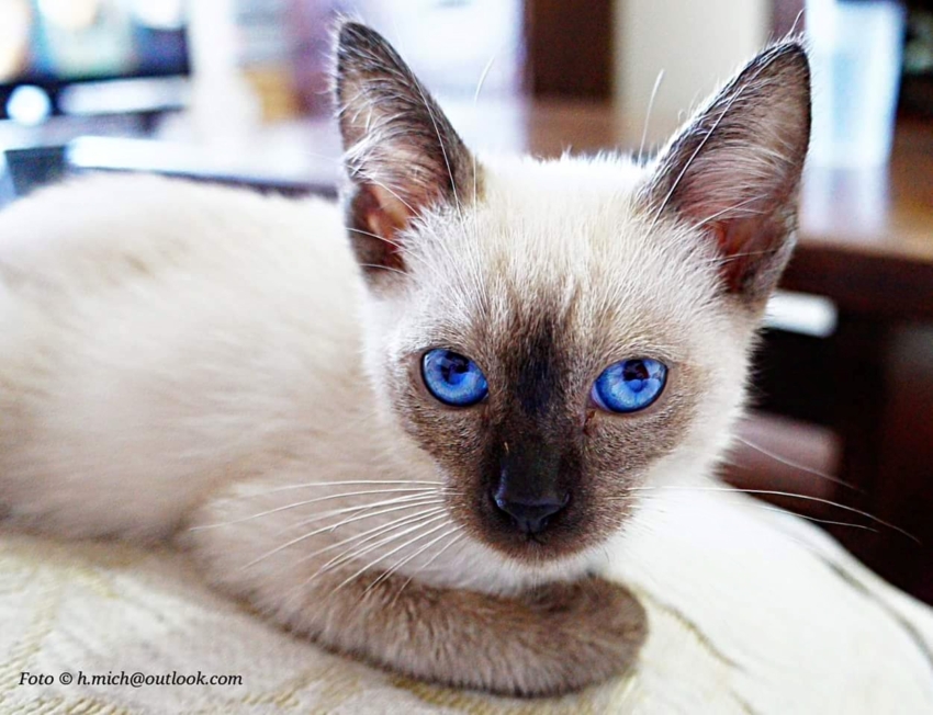 Studio-One.Art.br Repo Fotografia em Rio Preto SP/Brasil