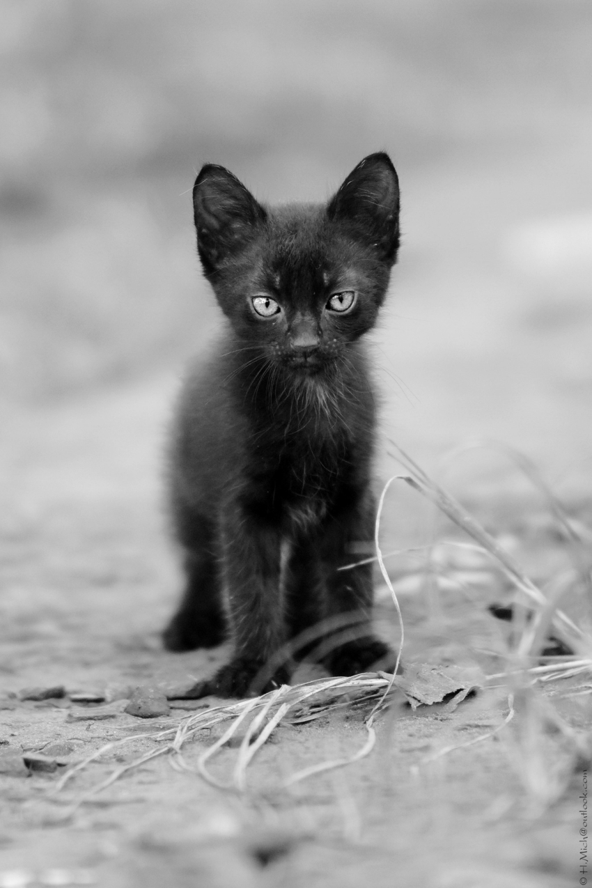 Studio-One.Art.br Repo Fotografia em Rio Preto SP/Brasil