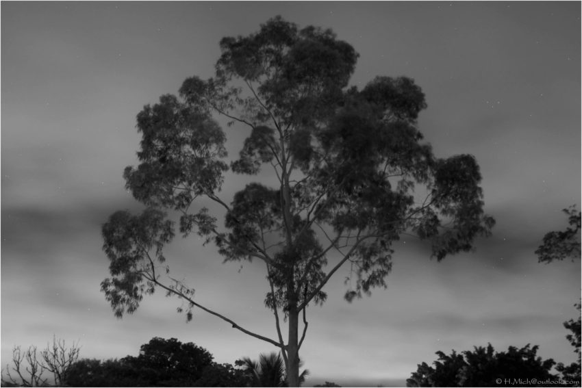 Studio-One.Art.br Repo Fotografia em Rio Preto SP/Brasil