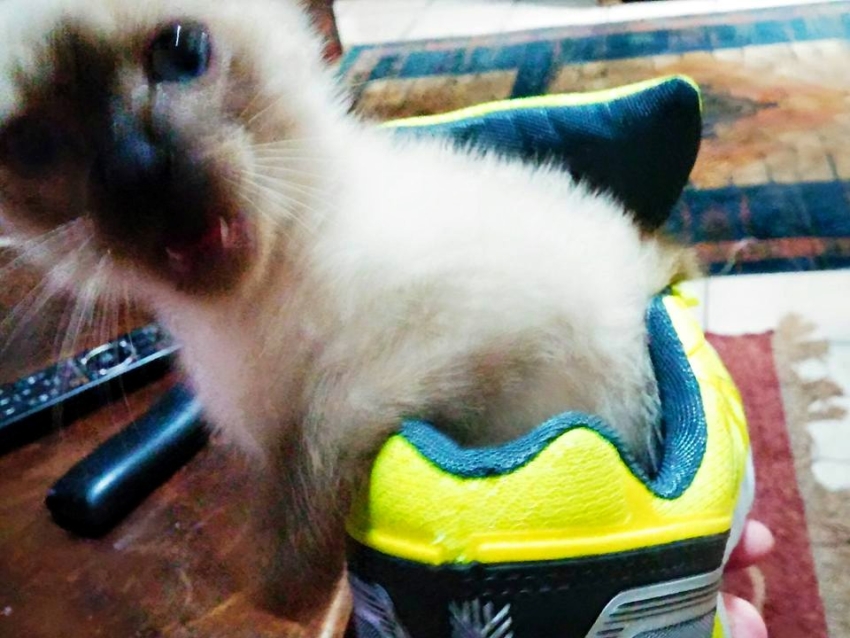 Studio-One.Art.br Repo Fotografia em Rio Preto SP/Brasil