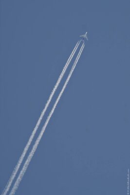 2022 06 16(48)