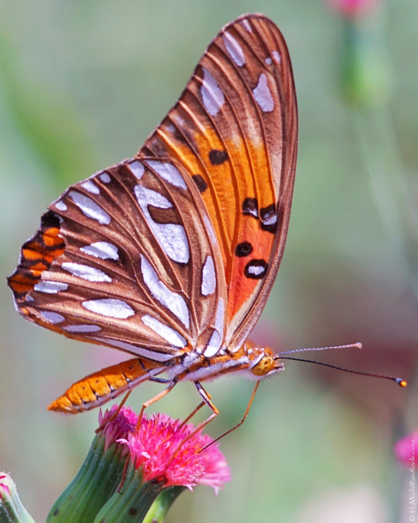 Studio-One.Art.br Repo Fotografia em Rio Preto SP/Brasil