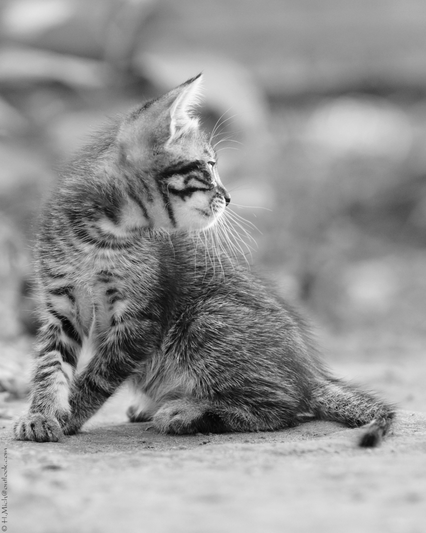 Studio-One.Art.br Repo Fotografia em Rio Preto SP/Brasil