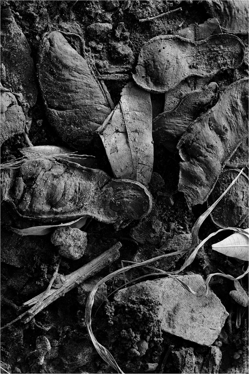 Studio-One.Art.br Repo Fotografia em Rio Preto SP/Brasil