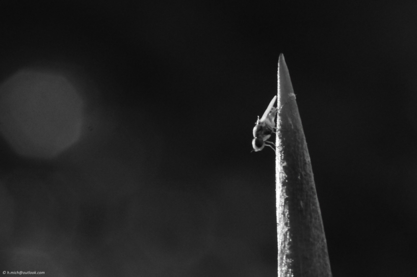 Studio-One.Art.br Repo Fotografia em Rio Preto SP/Brasil