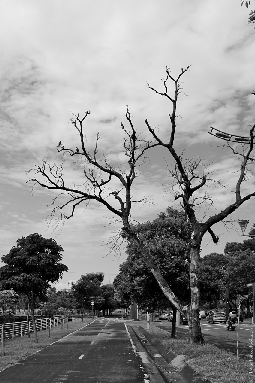 Studio-One.Art.br Repo Fotografia em Rio Preto SP/Brasil