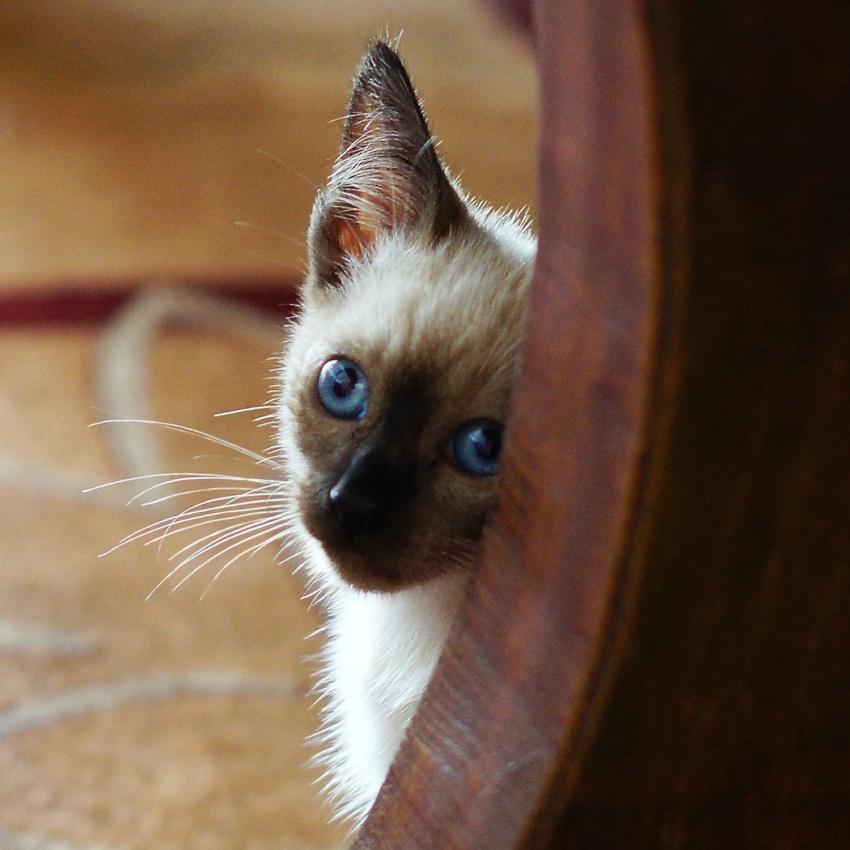 Studio-One.Art.br Repo Fotografia em Rio Preto SP/Brasil