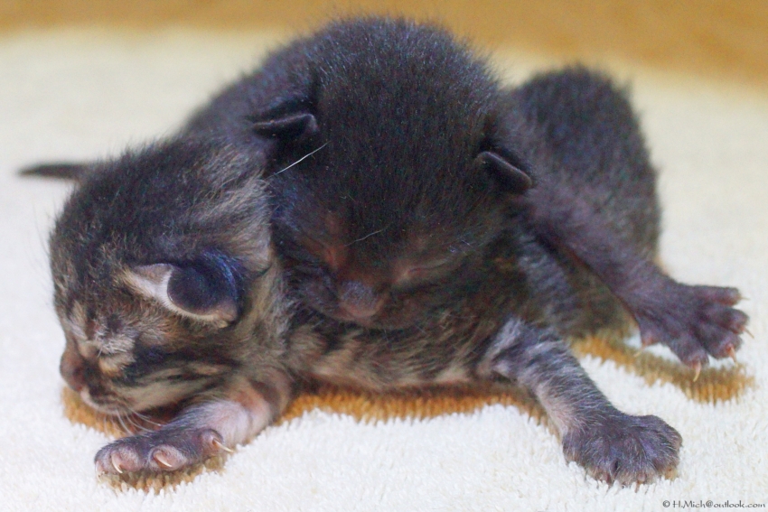 Studio-One.Art.br Repo Fotografia em Rio Preto SP/Brasil