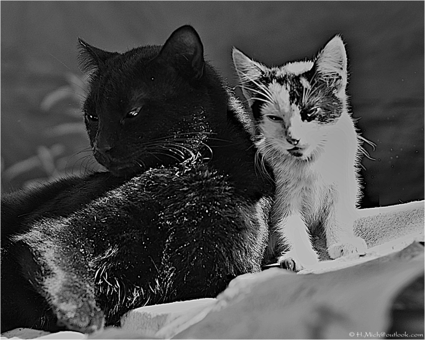 Studio-One.Art.br Repo Fotografia em Rio Preto SP/Brasil