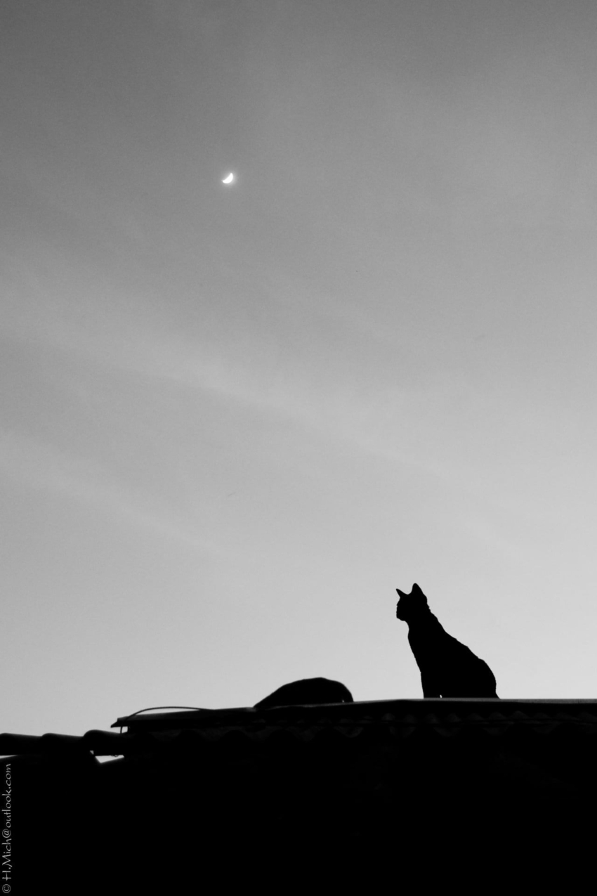 Studio-One.Art.br Repo Fotografia em Rio Preto SP/Brasil