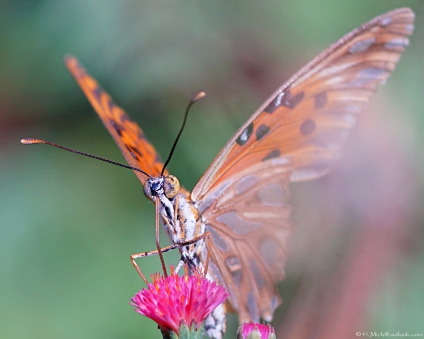 Studio-One.Art.br Repo Fotografia em Rio Preto SP/Brasil