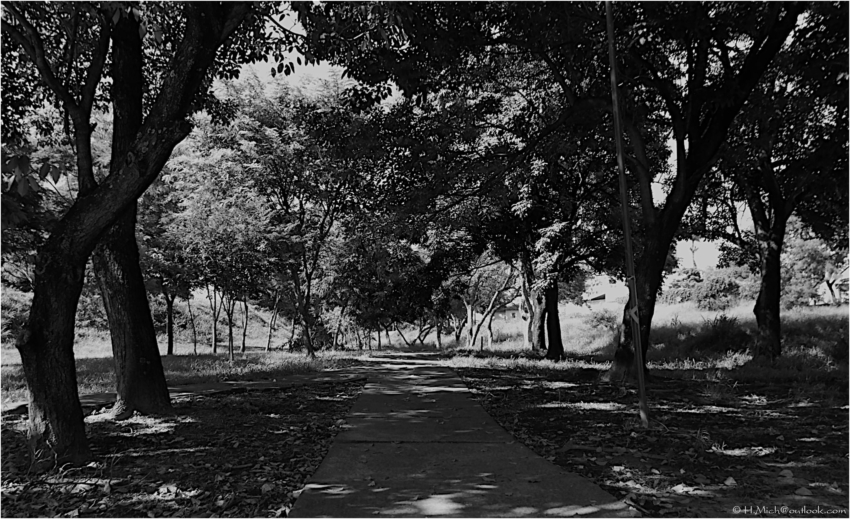 Studio-One.Art.br Repo Fotografia em Rio Preto SP/Brasil