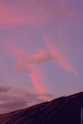 2022 06 16(50)