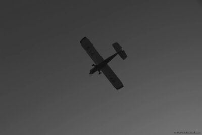 2022 06 16(50)