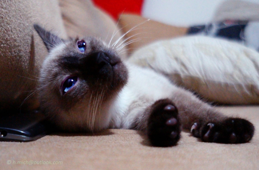 Studio-One.Art.br Repo Fotografia em Rio Preto SP/Brasil