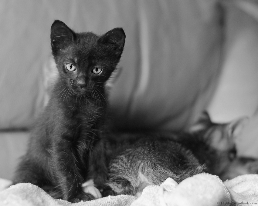 Studio-One.Art.br Repo Fotografia em Rio Preto SP/Brasil