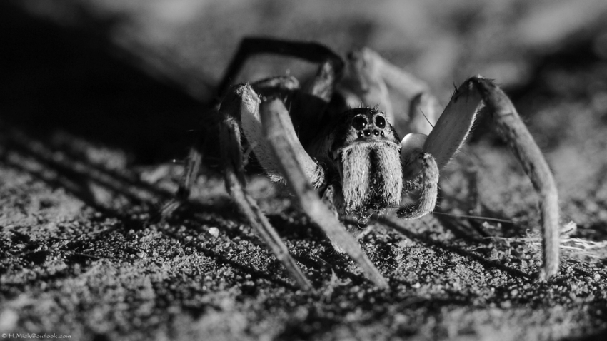 Studio-One.Art.br Repo Fotografia em Rio Preto SP/Brasil