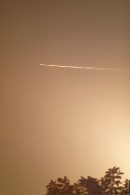 2022 06 16(52)
