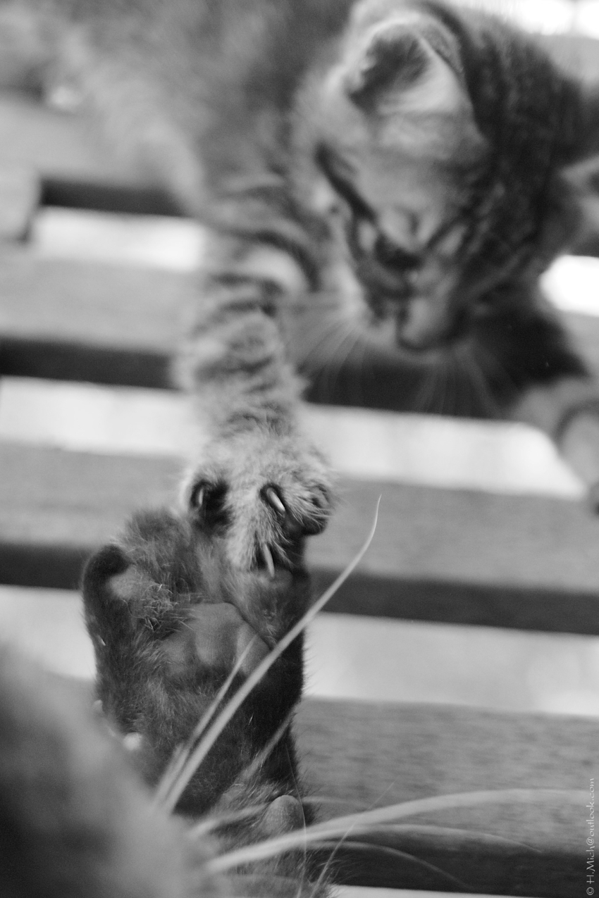 Studio-One.Art.br Repo Fotografia em Rio Preto SP/Brasil