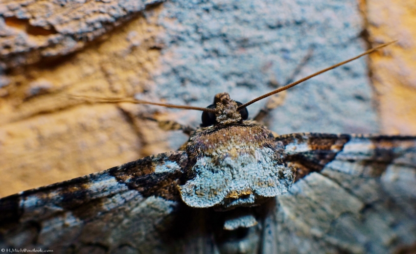 Studio-One.Art.br Repo Fotografia em Rio Preto SP/Brasil