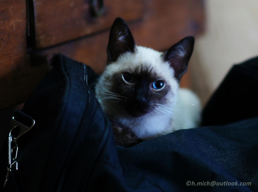 Studio-One.Art.br Repo Fotografia em Rio Preto SP/Brasil