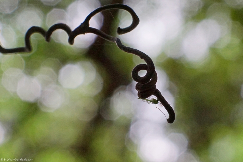 Studio-One.Art.br Repo Fotografia em Rio Preto SP/Brasil