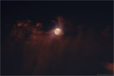 2022 06 16(544)