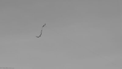 2022 06 16(55)