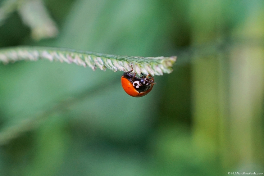 Studio-One.Art.br Repo Fotografia em Rio Preto SP/Brasil