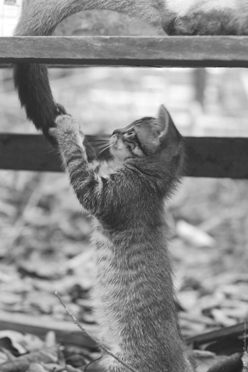 Studio-One.Art.br Repo Fotografia em Rio Preto SP/Brasil