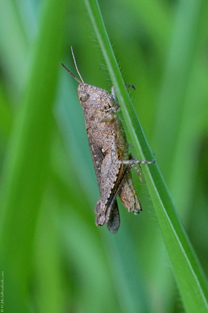 Studio-One.Art.br Repo Fotografia em Rio Preto SP/Brasil