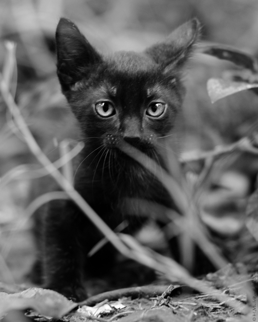 Studio-One.Art.br Repo Fotografia em Rio Preto SP/Brasil