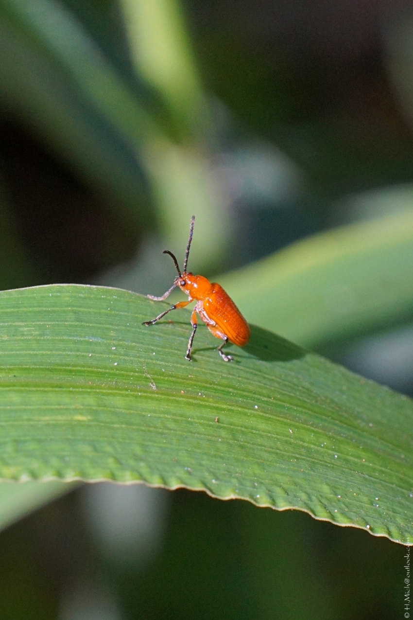 Studio-One.Art.br Repo Fotografia em Rio Preto SP/Brasil