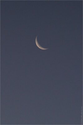 2022 06 16(570)