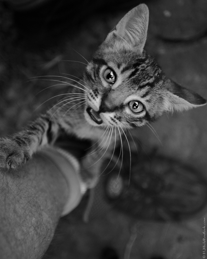 Studio-One.Art.br Repo Fotografia em Rio Preto SP/Brasil