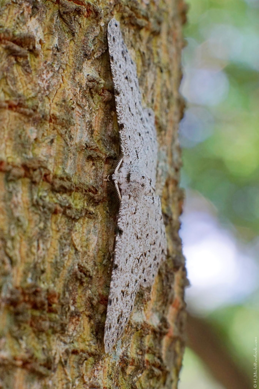 Studio-One.Art.br Repo Fotografia em Rio Preto SP/Brasil