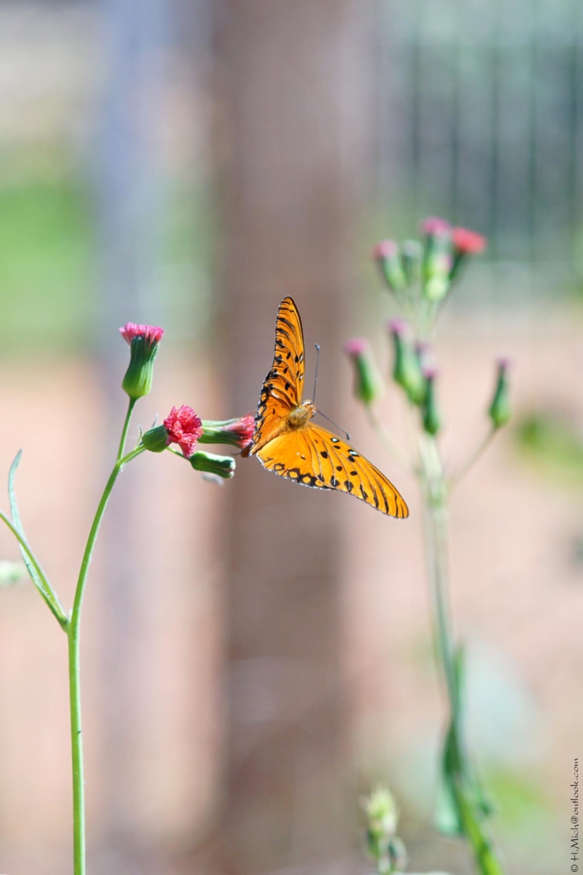 Studio-One.Art.br Repo Fotografia em Rio Preto SP/Brasil