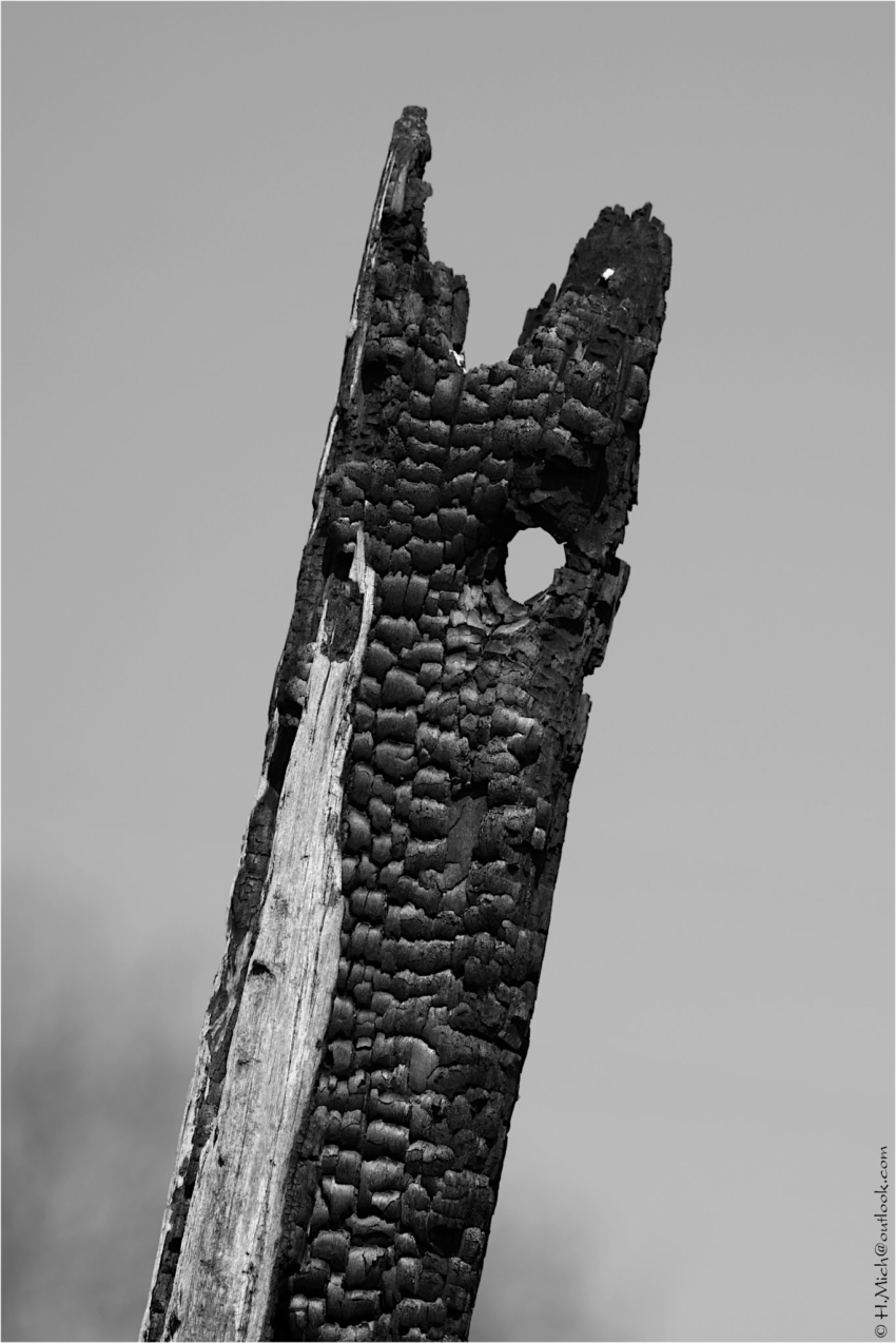 Studio-One.Art.br Repo Fotografia em Rio Preto SP/Brasil