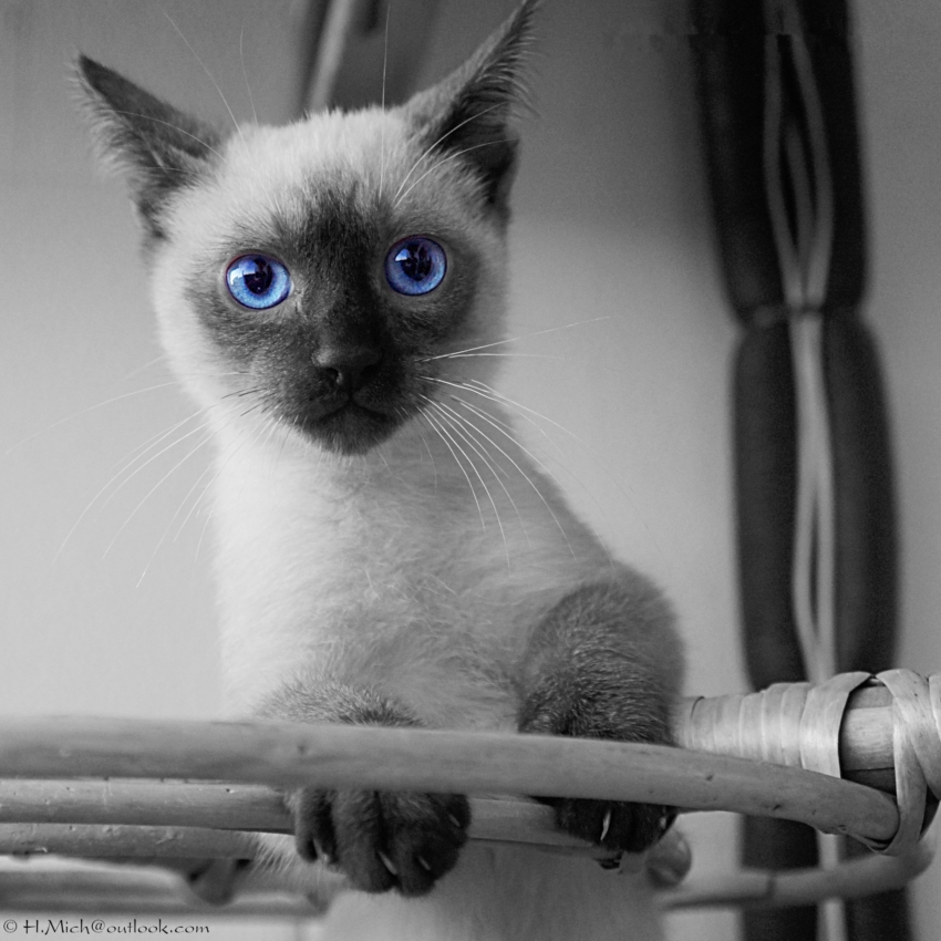 Studio-One.Art.br Repo Fotografia em Rio Preto SP/Brasil