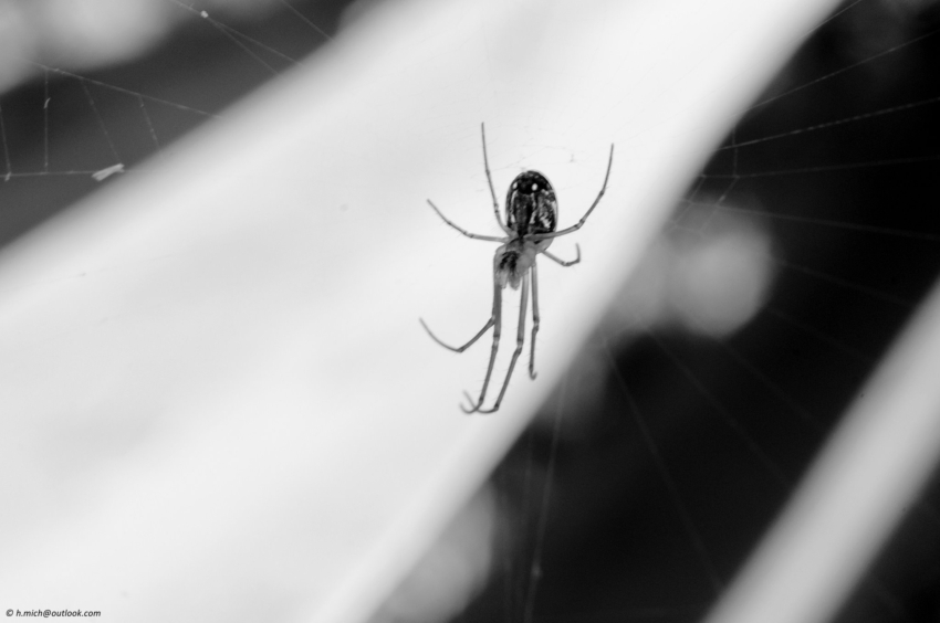 Studio-One.Art.br Repo Fotografia em Rio Preto SP/Brasil