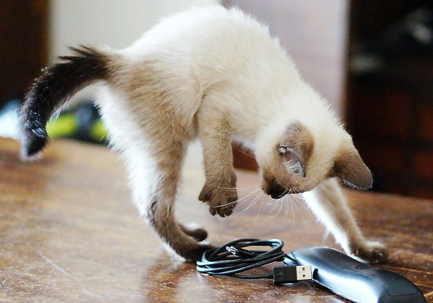 Studio-One.Art.br Repo Fotografia em Rio Preto SP/Brasil