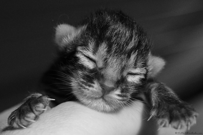 Studio-One.Art.br Repo Fotografia em Rio Preto SP/Brasil